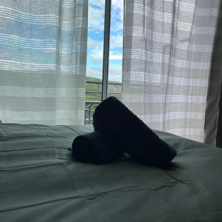 L'aphyllante T2 * Trébas