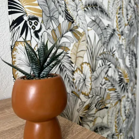 דירה L'aphyllante T2 *