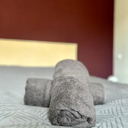 L'aphyllante T2 * Trébas